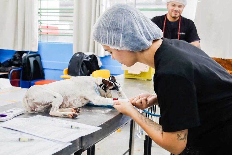 Ao todo, foram atendidos 89 felinos e 57 cães durante a ação, que integra as iniciativas desenvolvidas pela administração municipal para ampliar o acesso da população