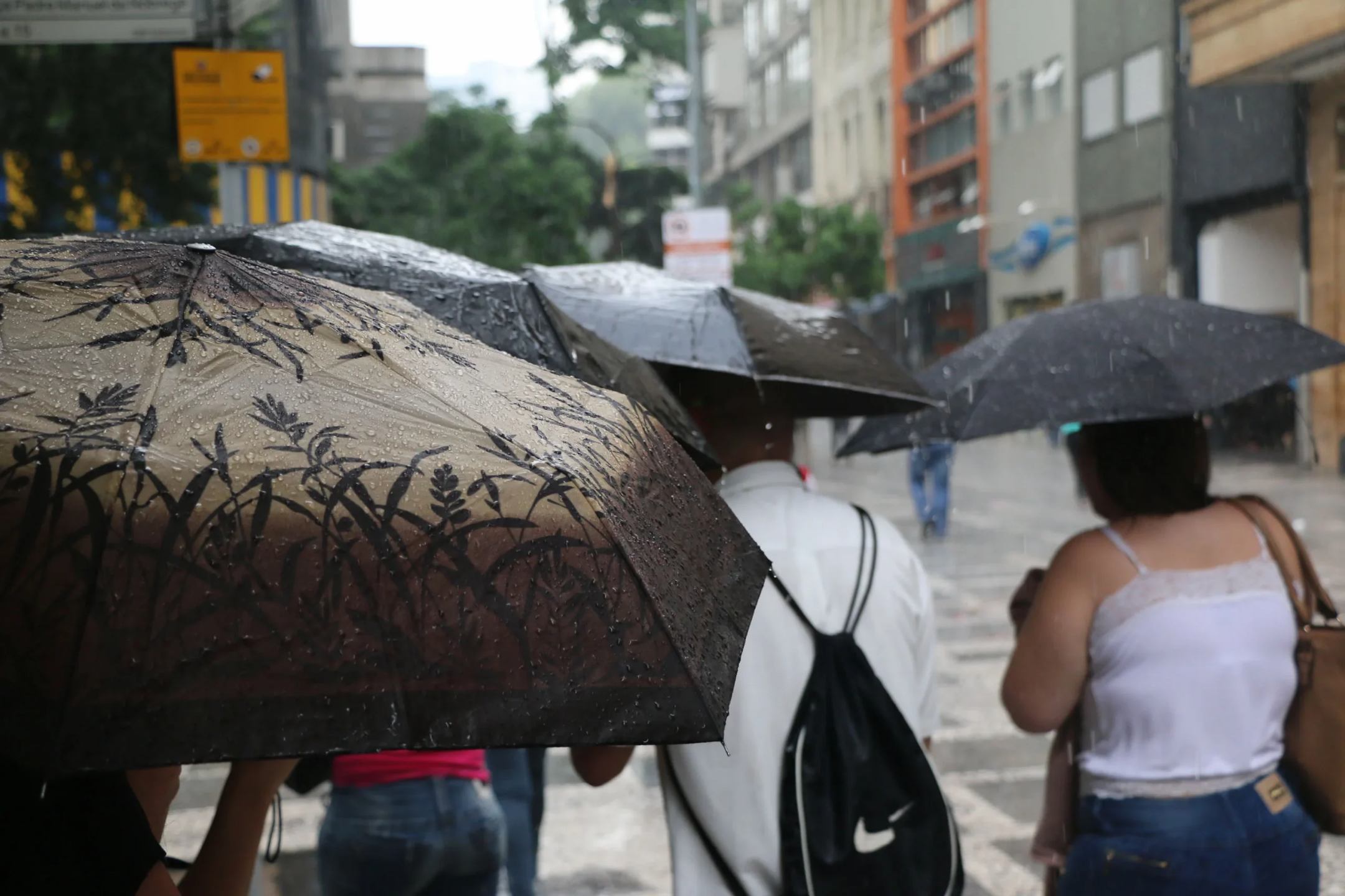 Na Grande SP e litoral, acumulado de chuva pode chegar a 70 mm, com rajadas de vento entre 40 e 65 km/h