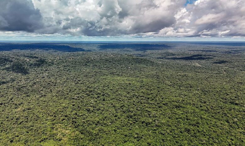 Fazenda autoriza crédito de US$ 1 bilhão do BID para Eco Invest Brasil