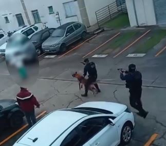 Vídeo mostra momentos antes da GCM conter o suspeito