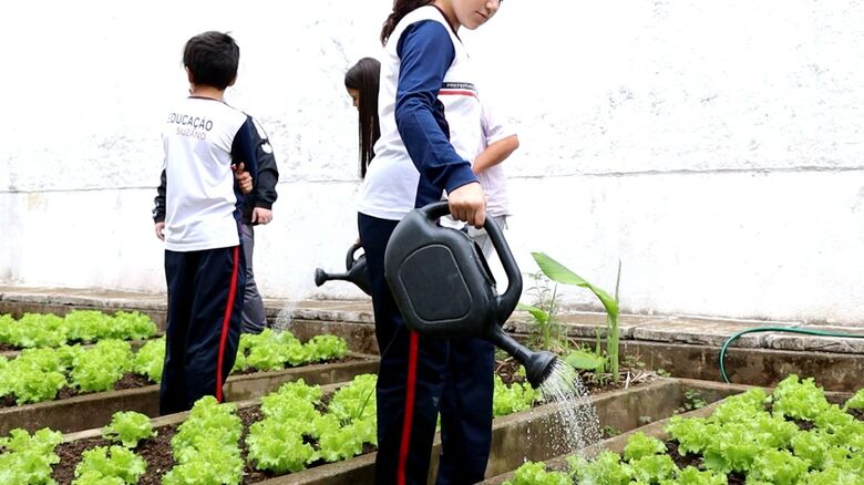 Suzano se destaca por projetos de hortas nas escolas que estimulam educação ambiental 