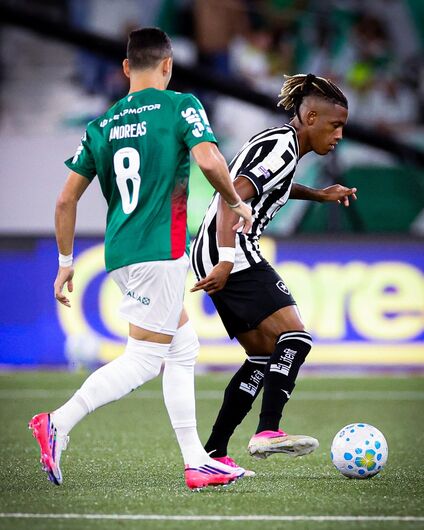 Botafogo segura Palmeiras e ajuda Flamengo, novo líder do Brasileirão