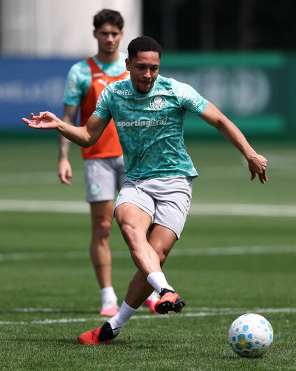 Palmeiras enfrenta o Grêmio neste domingo