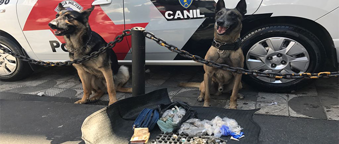 Cães Judá e Xerife auxiliaram na localização e contenção das drogas