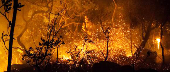 Suspeitas são de que o incêndio foi iniciado por fazendeiros da região, em represália à recente ampliação da área do parque