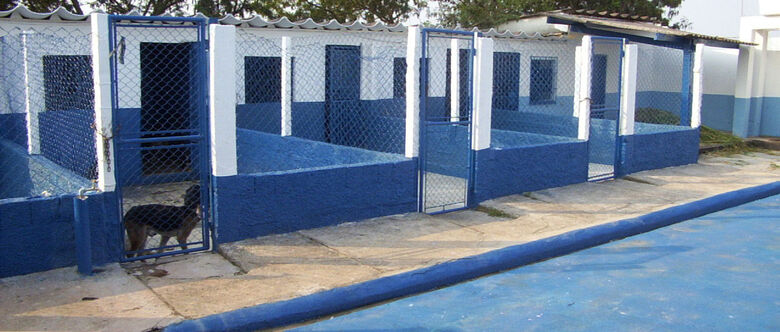 Prefeitura garantiu que agiu dentro da lei e que animais foram adotados