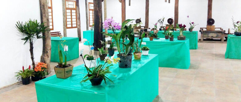 3ª Exposição de Orquídeas no Casarão do Chá acontece neste fim de semana (16 e 17), em Mogi das Cruzes