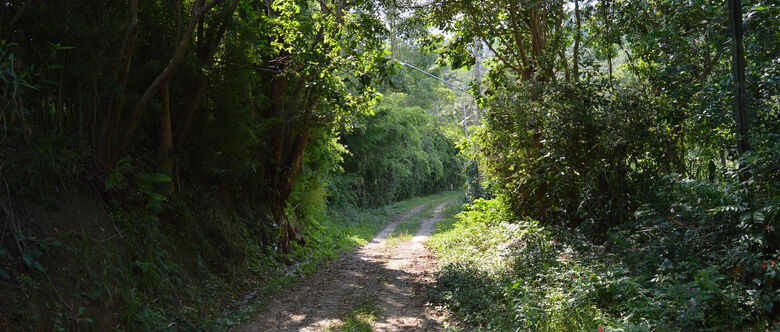 Miraporanga é uma reserva florestal localizada no bairro do Baruel em Suzano