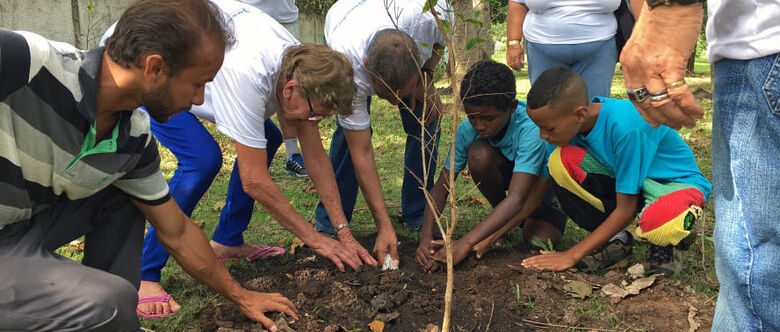 Cambuci é um fruto arredondado de cor verde, cujo formato lembra um disco voador
