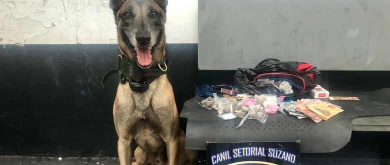 Cão judá auxiliou nas buscas por mais drogas em terreno