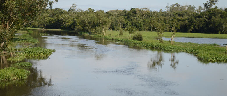 Foram analisadas 26 amostras no total