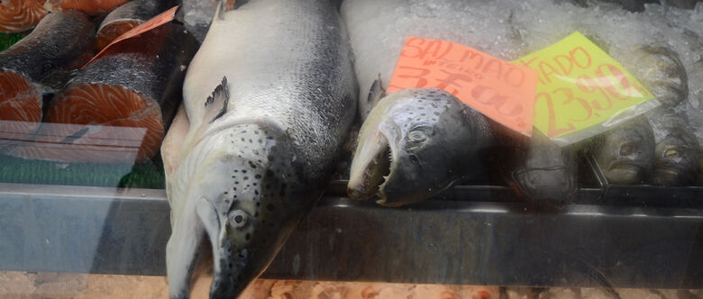Peixes: vendas devem crescer por conta do Feriado Católico no final deste mês