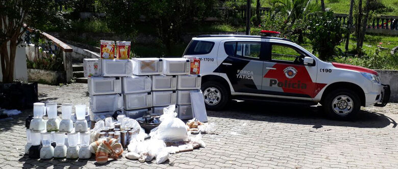 Polícia estima que cerca de 100 quilos de cocaína foram encontradas no sítio