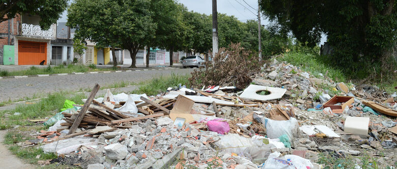 Além do mato alto, há imóveis velhos, lixos, animais mortos, madeiras, entre outros entulhos