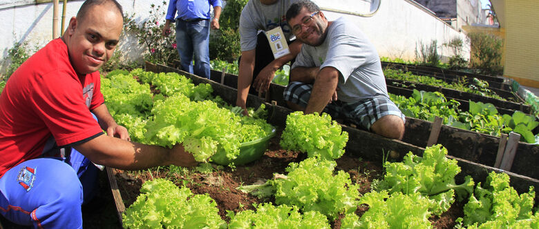 Alunos do Centro de Convivência para pessoas com deficiência colheram a primeira safra do projeto Horta Educativa
