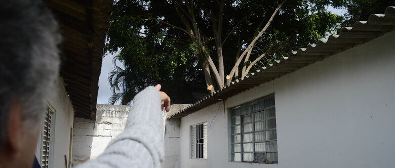 Raiz de árvore prejudica moradora no Parque Suzano