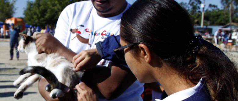 Recomendação da Secretaria de Saúde é imunizar cães e gatos a partir de três meses de idade