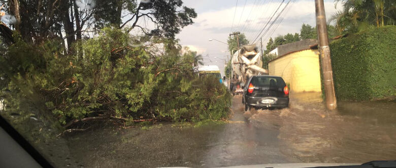 Estrada dos Fernandes registrou queda de árvore, alagamento e trânsito congestionado