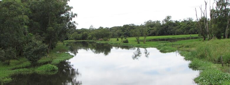 Principal desafio a ser abordado pelo grupo, que volta a funcionar depois de um período de quatro anos, é a retomada das ações em prol da preservação ecológica na região de várzea, com a participação ativa da comunidade, e das áreas que concentram a maior