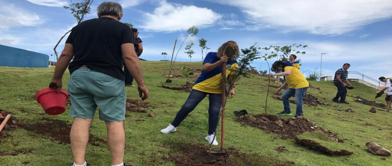 Parque da Cidade recebe plantio de 100 árvores