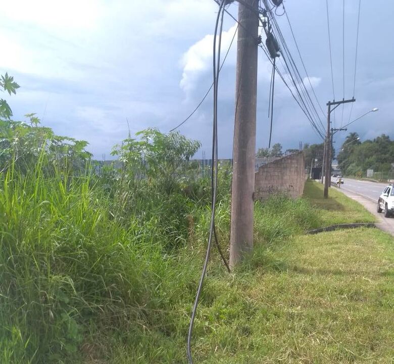 Suspeito preso furtava cabos telefônicos no distrito de Palmeiras