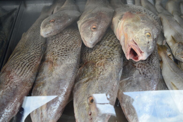 Peixarias preveem aumento nas vendas por causa do Feriado da Semana Santa