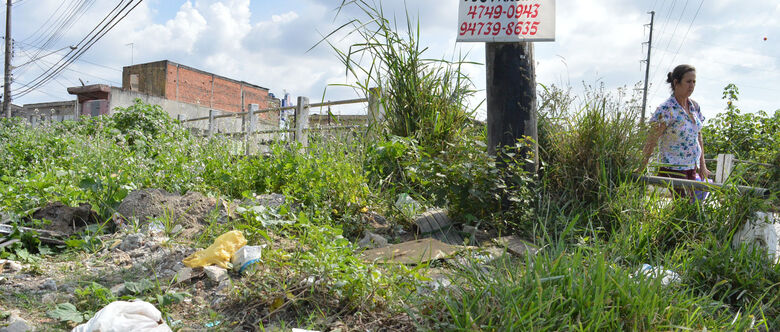 Moradores dividem o espaço com o mato alto da via