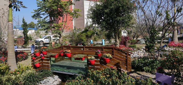 Viveiro Municipal amplia jardim e cria espaço para cultivo de mudas de hortaliças e de flores