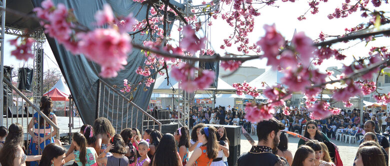 34ª edição da Festa da Cerejeira começa neste sábado no Bunkyo em Suzano