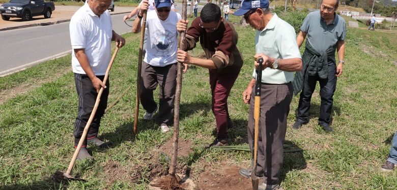 Praça Sol Nascente e Marginal do Una recebem plantio de 200 cerejeiras