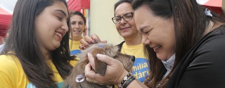 Segunda feira de adoção de animais do programa Tampinha Solidária acontece neste sábado