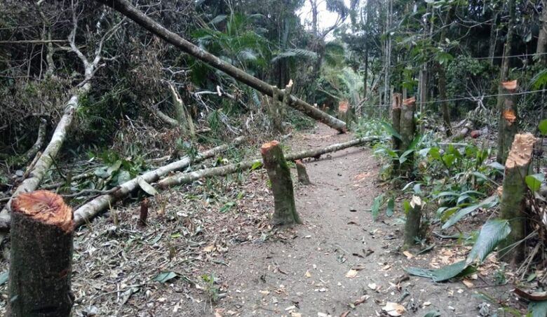Este foi o segundo flagrante registrado nesta semana pelas equipes da administração municipal