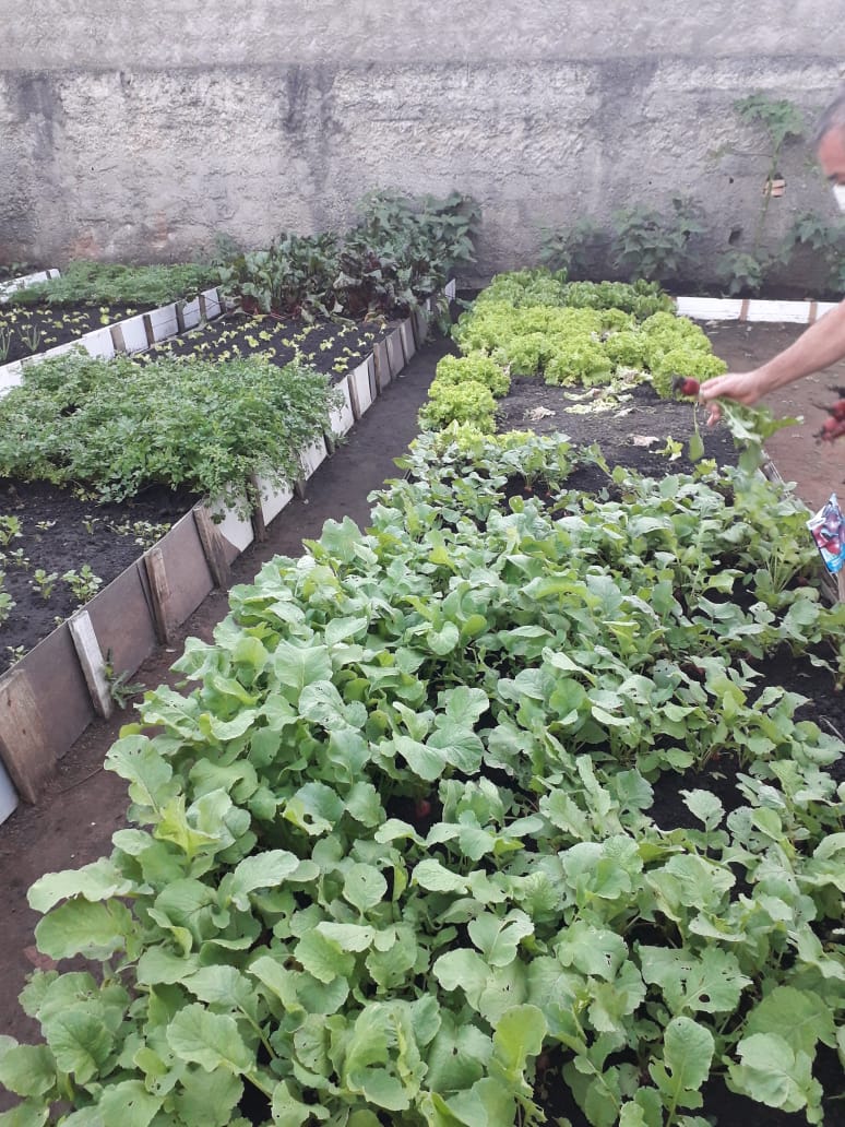 Localizada no final da rua Antônio Mayer, próximo ao Largo da Feira, a horta já beneficiou dezenas de moradores e inclusive ajudou na alimentação de idosos do lar Vicente de Paulo no Parque Maria Helena