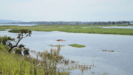 Represa de Taiaçupeba, que fica entre os municípios de Suzano e Mogi das Cruzes
