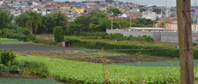 Produtores rurais estão mais tranquilos com a chegada das chuvas desta semana