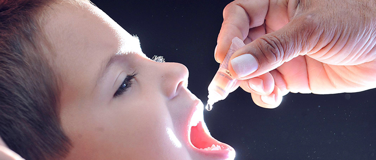 Mogi inicia campanha a partir de segunda; objetivo é atualizar carteira