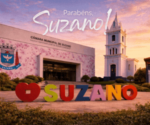 PI 3533 Câmara de Suzano