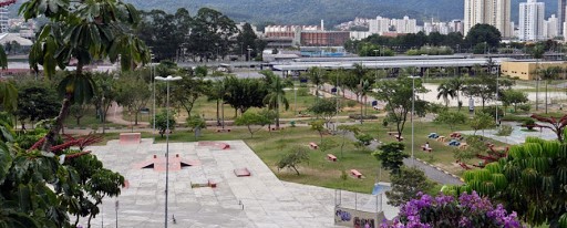 Violência no trânsito em Mogi das Cruzes está em ascensão